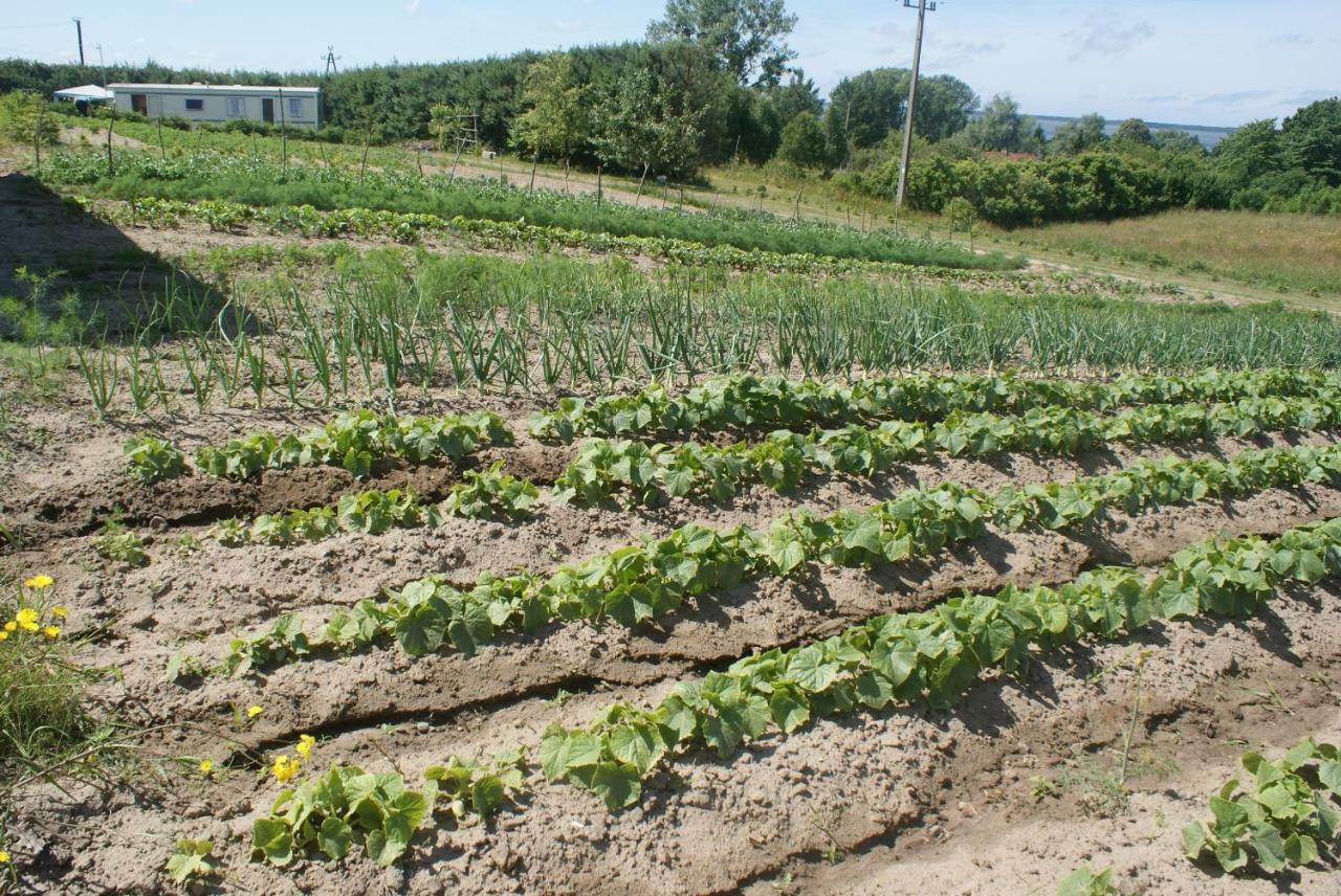Agrodomki Okej -Dom Kasjan Gardna Wielka ภายนอก รูปภาพ